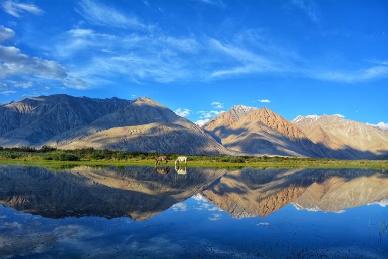 Read more about the article Offbeat Things to Do in Ladakh