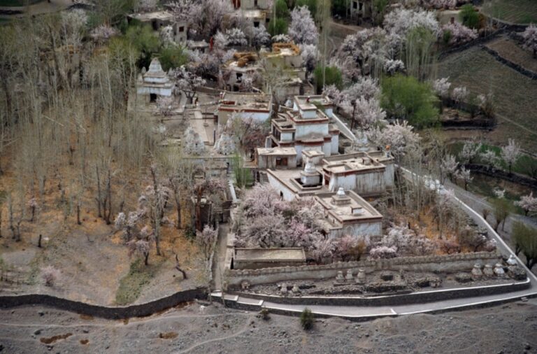 Read more about the article Cross Culture Influence on Art in Ladakh