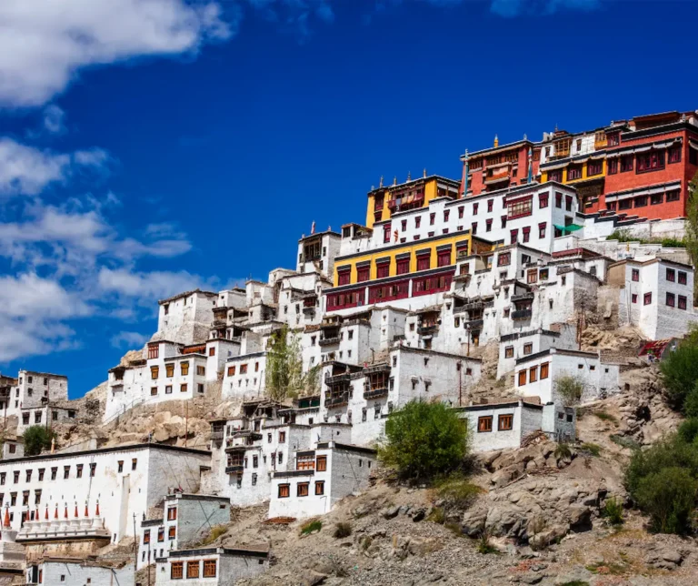 Read more about the article A Glimpse into the Royalty: Historic Residences in Ladakh