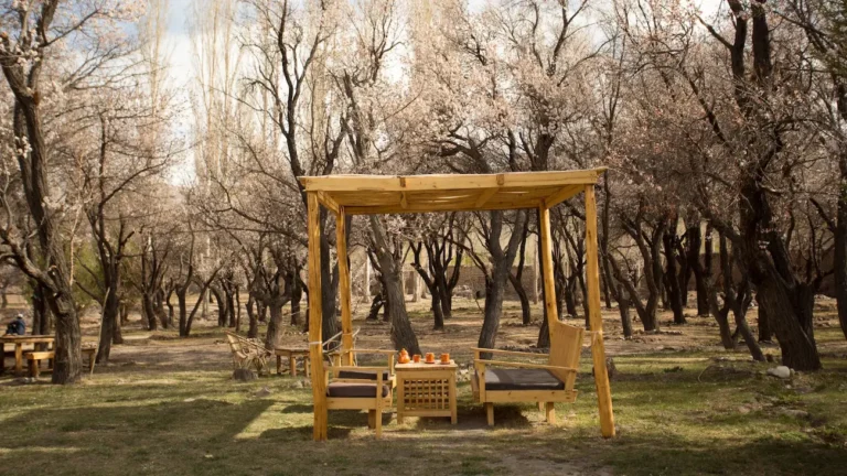 Read more about the article Feel Like Royalty at the Timeless Stok Palace in Ladakh