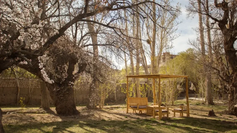 Read more about the article How Stok Palace Offers a Truly Unique Stay in the Heart of Leh Ladakh